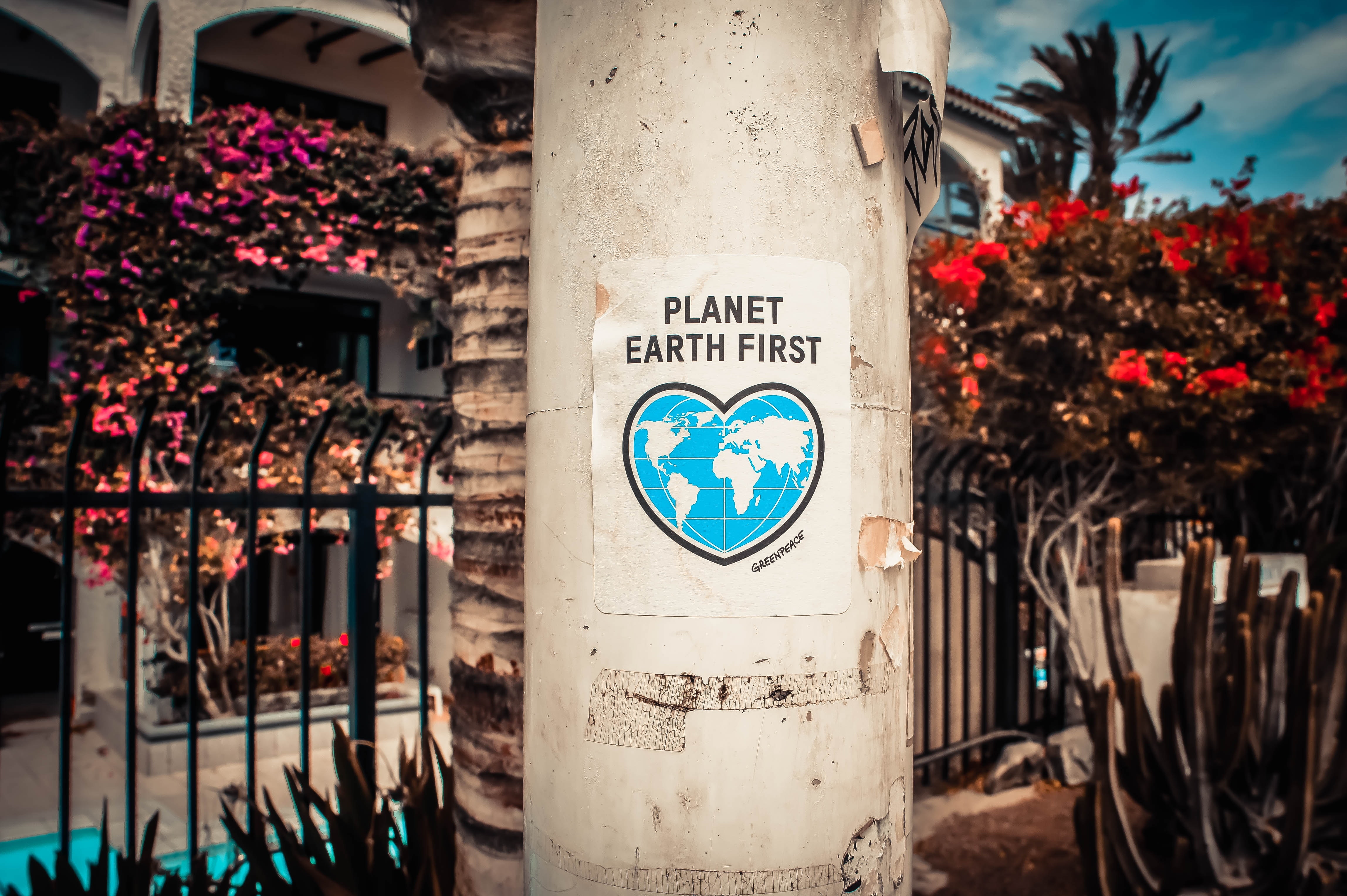 image with poster saying Planet Earth First